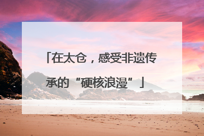 在太仓，感受非遗传承的“硬核浪漫”
