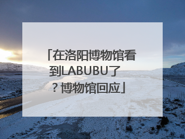 在洛阳博物馆看到LABUBU了？博物馆回应