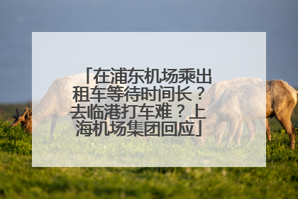 在浦东机场乘出租车等待时间长？去临港打车难？上海机场集团回应