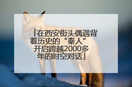 在西安街头偶遇背着历史的“秦人” 开启跨越2000多年的时空对话