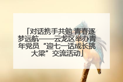 对话携手共勉 青春逐梦远航——云龙区举办青年党员“迎七一话成长挑大梁”交流活动