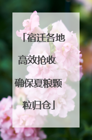 宿迁各地高效抢收 确保夏粮颗粒归仓