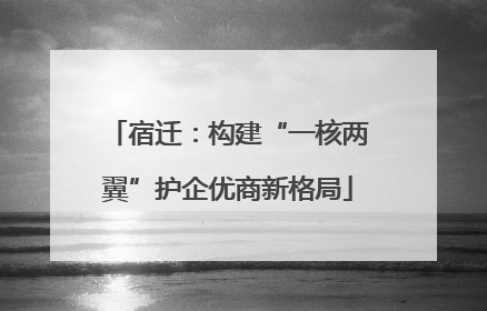 宿迁：构建“一核两翼”护企优商新格局