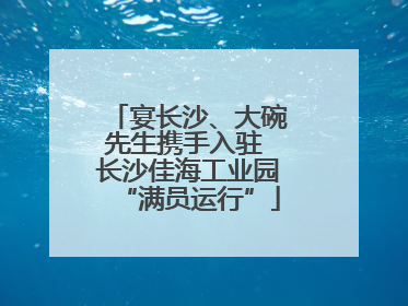 宴长沙、大碗先生携手入驻 长沙佳海工业园“满员运行”