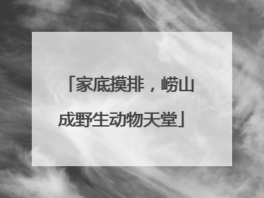 家底摸排，崂山成野生动物天堂