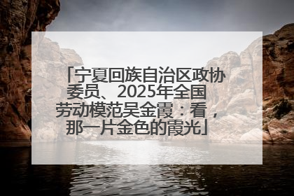宁夏回族自治区政协委员、2025年全国劳动模范吴金霞：看，那一片金色的霞光