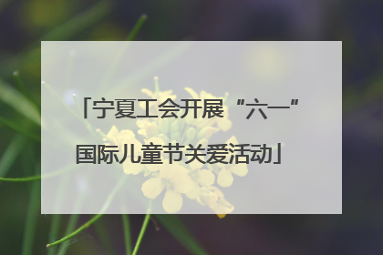 宁夏工会开展“六一”国际儿童节关爱活动