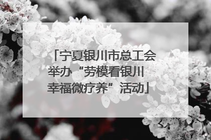 宁夏银川市总工会举办“劳模看银川 幸福微疗养”活动