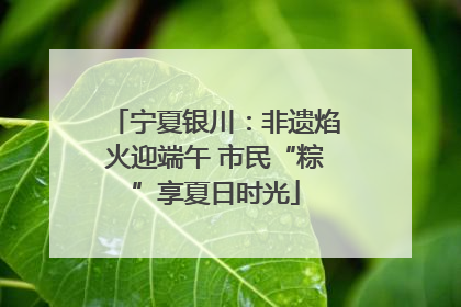 宁夏银川：非遗焰火迎端午 市民“粽”享夏日时光