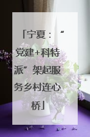 宁夏：“党建+科特派”架起服务乡村连心桥
