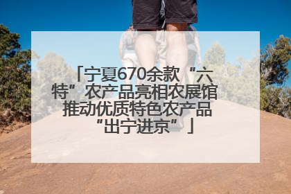 宁夏670余款“六特”农产品亮相农展馆 推动优质特色农产品“出宁进京”