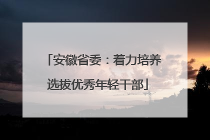 安徽省委：着力培养选拔优秀年轻干部