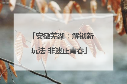 安徽芜湖：解锁新玩法 非遗正青春