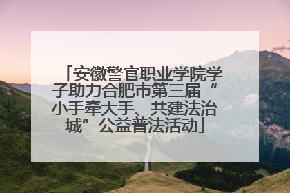 安徽警官职业学院学子助力合肥市第三届“小手牵大手、共建法治城”公益普法活动