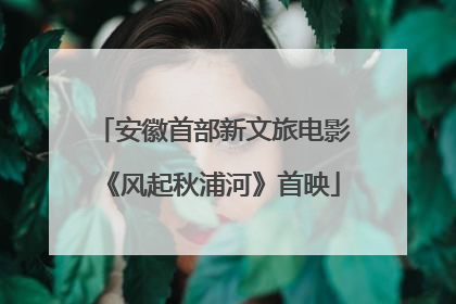 安徽首部新文旅电影《风起秋浦河》首映