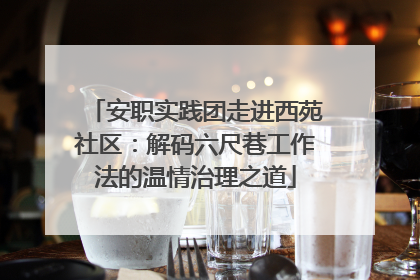 安职实践团走进西苑社区：解码六尺巷工作法的温情治理之道