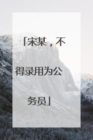 宋某，不得录用为公务员