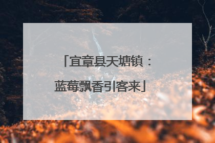 宜章县天塘镇：蓝莓飘香引客来