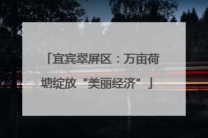 宜宾翠屏区：万亩荷塘绽放“美丽经济”