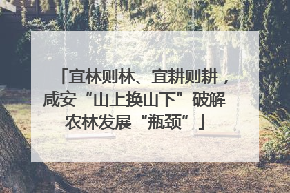宜林则林、宜耕则耕，咸安“山上换山下”破解农林发展“瓶颈”