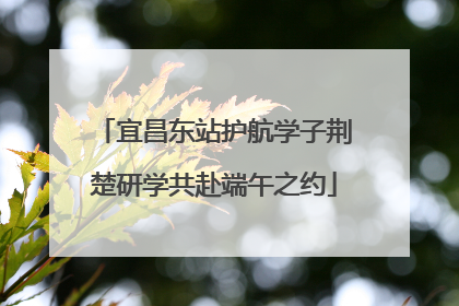 宜昌东站护航学子荆楚研学共赴端午之约