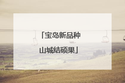 宝岛新品种 山城结硕果