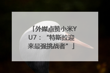 外媒点赞小米YU7：“特斯拉迎来最强挑战者”