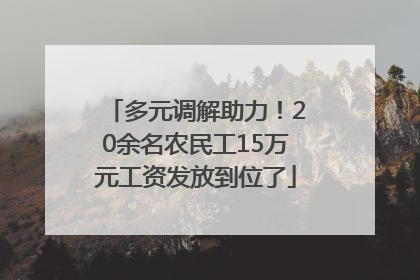 多元调解助力！20余名农民工15万元工资发放到位了