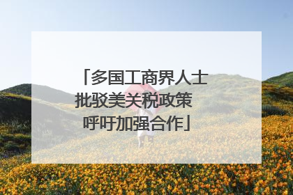 多国工商界人士批驳美关税政策 呼吁加强合作