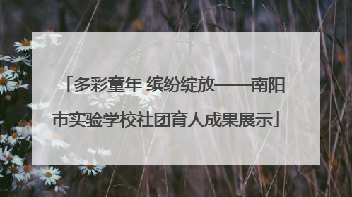 多彩童年 缤纷绽放——南阳市实验学校社团育人成果展示