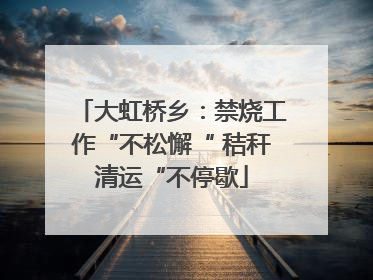 大虹桥乡：禁烧工作“不松懈“ 秸秆清运“不停歇