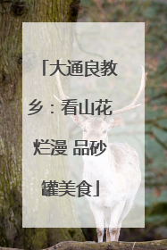 大通良教乡：看山花烂漫 品砂罐美食