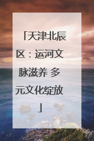天津北辰区：运河文脉滋养 多元文化绽放