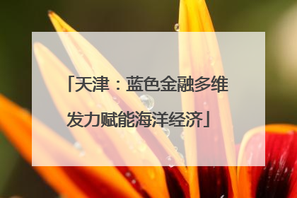 天津：蓝色金融多维发力赋能海洋经济