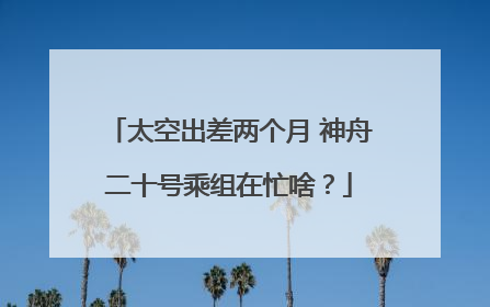 太空出差两个月 神舟二十号乘组在忙啥？