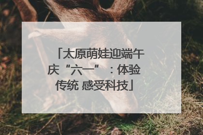太原萌娃迎端午庆“六一”：体验传统 感受科技