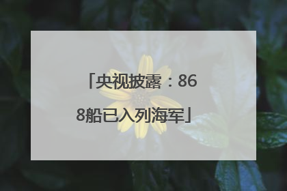 央视披露：868船已入列海军