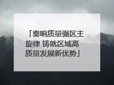 奏响质量强区主旋律 铸就区域高质量发展新优势