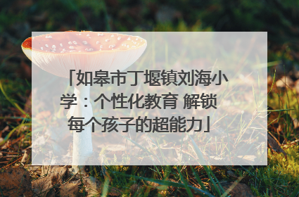 如皋市丁堰镇刘海小学：个性化教育 解锁每个孩子的超能力