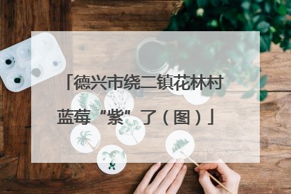 德兴市绕二镇花林村蓝莓“紫”了（图）