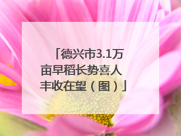 德兴市3.1万亩早稻长势喜人 丰收在望（图）