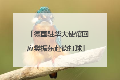 德国驻华大使馆回应樊振东赴德打球