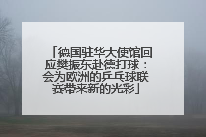 德国驻华大使馆回应樊振东赴德打球：会为欧洲的乒乓球联赛带来新的光彩