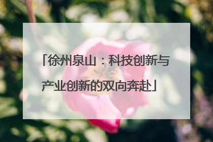 徐州泉山：科技创新与产业创新的双向奔赴