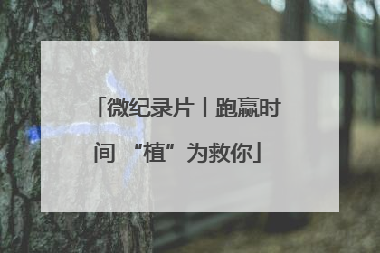 微纪录片丨跑赢时间 “植”为救你