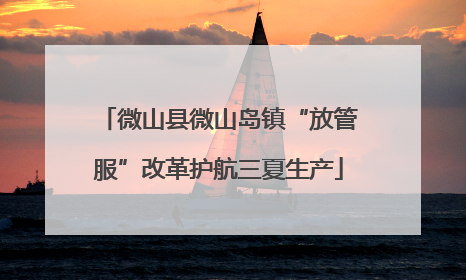 微山县微山岛镇“放管服”改革护航三夏生产