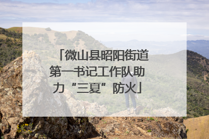 微山县昭阳街道第一书记工作队助力“三夏”防火