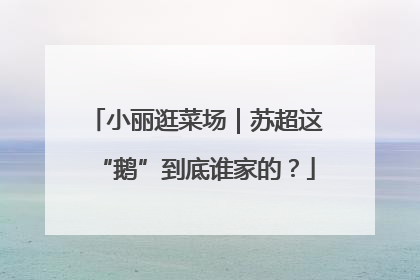 小丽逛菜场｜苏超这“鹅”到底谁家的？