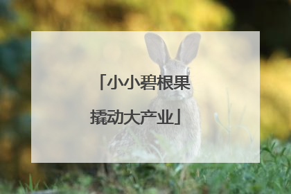 小小碧根果撬动大产业