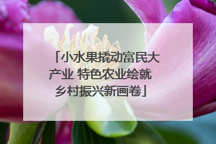 小水果撬动富民大产业 特色农业绘就乡村振兴新画卷